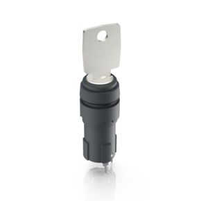 钥匙开关，16.2 mm，圆形卡圈, 1 常开, 金, 焊接端子, 3 x 90°, 自复位功能, 拔出位置 0+1+2+3