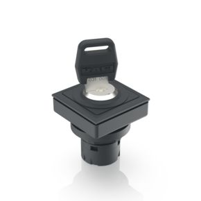 RAFIX 16 F，钥匙开关，正方形卡圈, 2 x 90°, 自复位功能