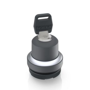 RAFIX 22 FS+, 钥匙开关，圆形卡圈, 前圈 银金属色, 1 x 90°，1 x 40°, 触感的/声感的, 拔出位置 0+2