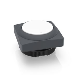 RAFIX 22 FS+发光按键 FLEXLAB，正方形卡圈, 自复位功能, 前圈 石板灰色