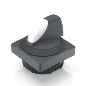 RAFIX 22 FS+发光选择开关，正方形卡圈, 前圈 黑色, 1 x 90°，L 形, 自复位功能, 可发光