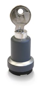 RAFIX 22 FS+，钥匙开关 SSG1, 圆形卡圈, 前圈 银金属色, 1 x 90°，1 x 40°, 声感的/触感的, 拔出位置 0