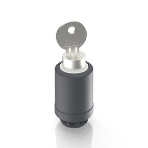 RAFIX 22 FS+，钥匙开关 SSG1, 圆形卡圈, 前圈 银金属色, 1 x 40°, 1 x 90°, 触感的/声感的, 拔出位置 0