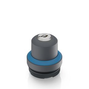 RAFIX 22 FS+, 钥匙开关，圆形卡圈, 前圈 蓝色, 1 x 90°，1 x 40°, 触感的/声感的, 拔出位置 0
